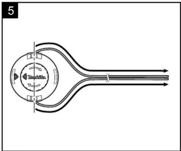 5 Xenobidus