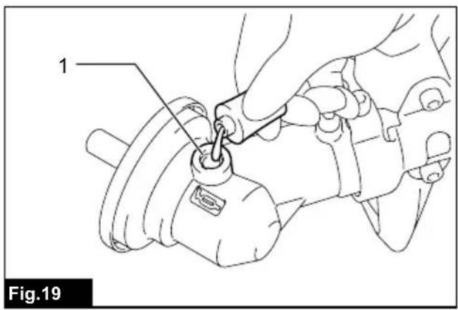 1 Fig.19