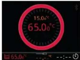 Sammic SmartVide 6 - A trabalho com a sonda de coração - 1