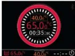 Sammic SmartVide 6 - Working with the needle probe - 3