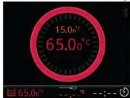 Sammic SmartVide 6 - Postugiwanie sie sonda iglowa - 1