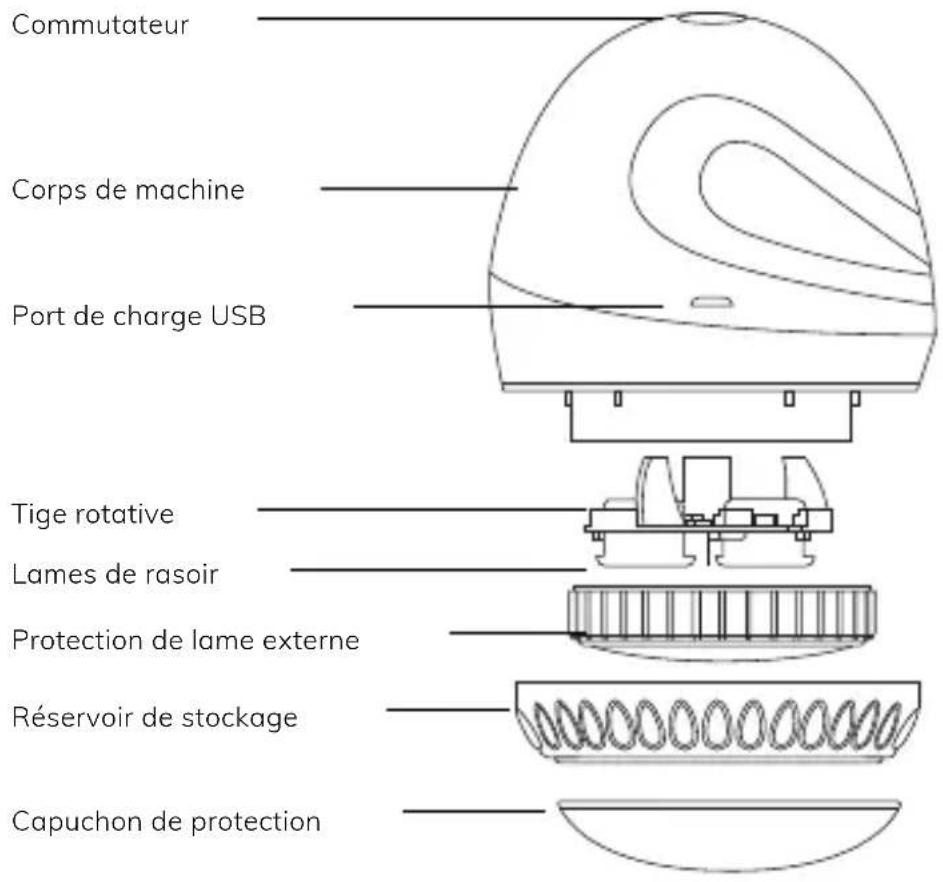 Commutateur Corps de machine Port de charge USB Tige rotative Lames de rasoir Protection de lame externe Réservoir de stockage Capuchon de protection