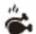 Gourmetmaxx 11229 - Programm Shrimps (13) - 1