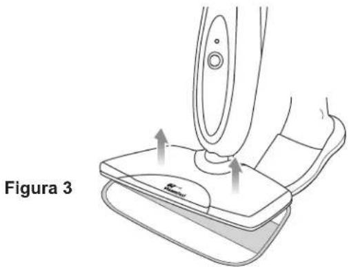 Figura 3