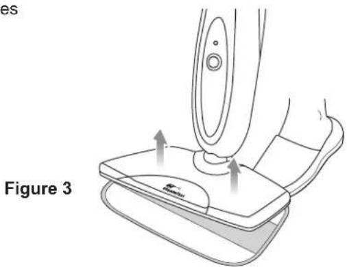 es Figure 3