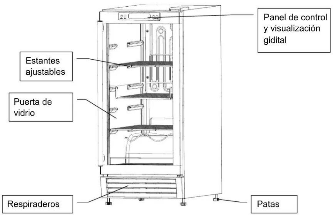 Panel de control y visualización gidital Estantes ajustables Puerta de vidrio Respiraderos Patas
