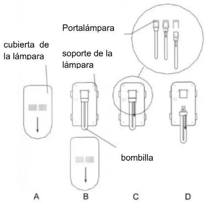 cubierta de la lámpara Portalámpara soporte de la lámpara bombilla A B C D