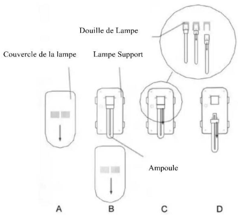 Douille de Lampe Couvercle de la lampe Lampe Support A B C D Ampoule C