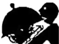 Pentair Triton TR 40 - WARNING - 1