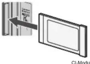 PANASONIC TX-32LSW504S - Gemeinsame Schnittstelle - 1