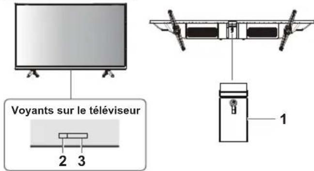 PANASONIC TX-32LSW504S - Utilisation des commandes du téléviseur - 1