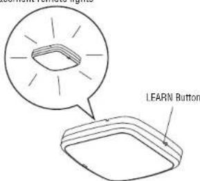 LEARN LEARN Button