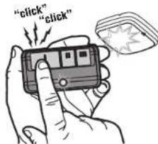 "click" "click"