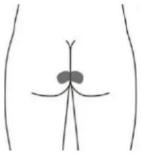 TensCare Perfect PFE - Electrodo para la piel opcional para STRESS (Esto puede no ser tan efectivo como la estimulación con la sonda vaginal) - 1