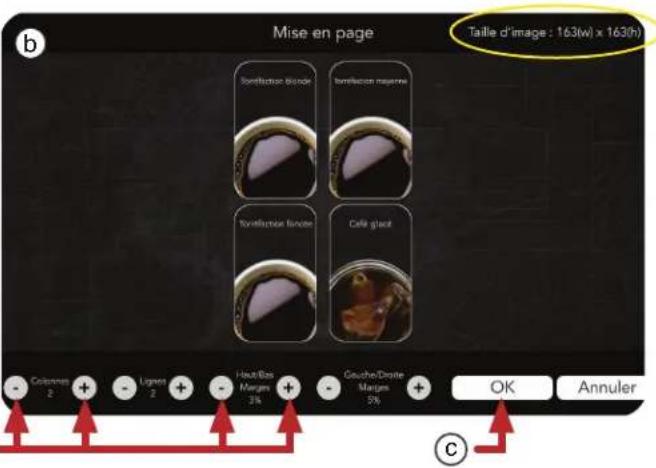 Mise en page Taille d'image : 163(w) x 163(h) b Iomifloxacin blonde Iomifloxacin mazerne Tomifloxacin tinctor Café giao Colonnes 2 + - Lignes 2 + - Heat/Bas Marges 3% + - Gouche/Droite Marges 5% + OK Annuler C
