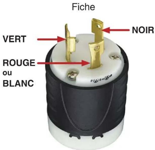 Fiche NOIR VERT ROUGE ou BLANC