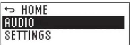 LD Systems MON 8 A G3 - AUDIO SETTINGS (AUDIO) - 1