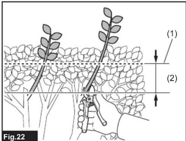 (1) (2) Fig.22