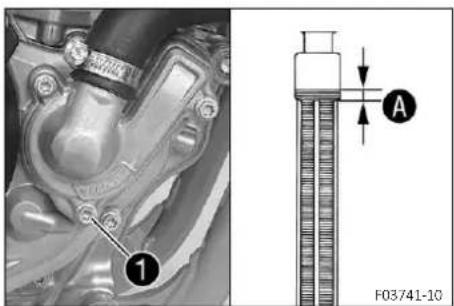 GAS GAS MC 250F (2024) - (FACTORY EDITION) - 2
