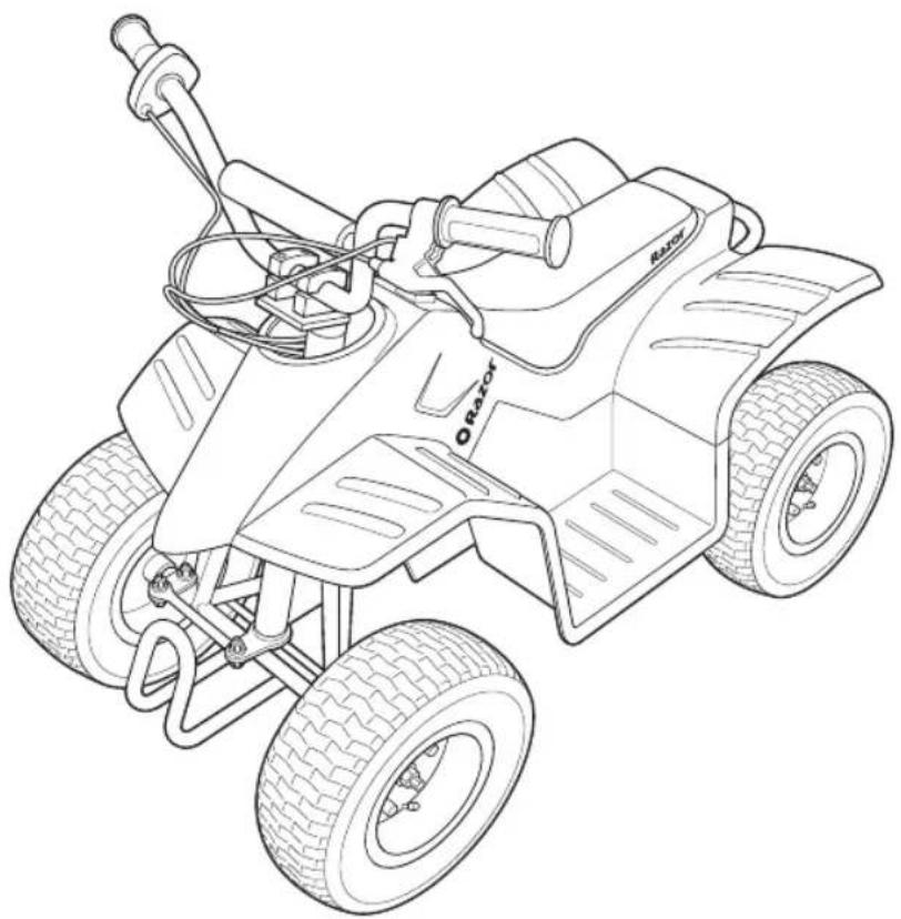 RAZOR Dirt Quad - 2