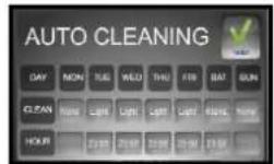Vulcan C24EO5 - "AUTO" CLEANING (cleaning programmed every day of the week): - 3