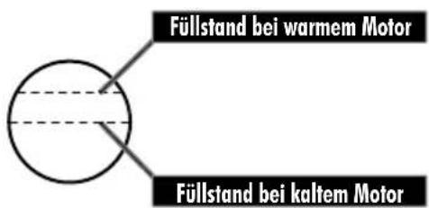 Sherco 500 SEF (2024) - PRÜFEN DES MOTORÖLSTANDS - 4