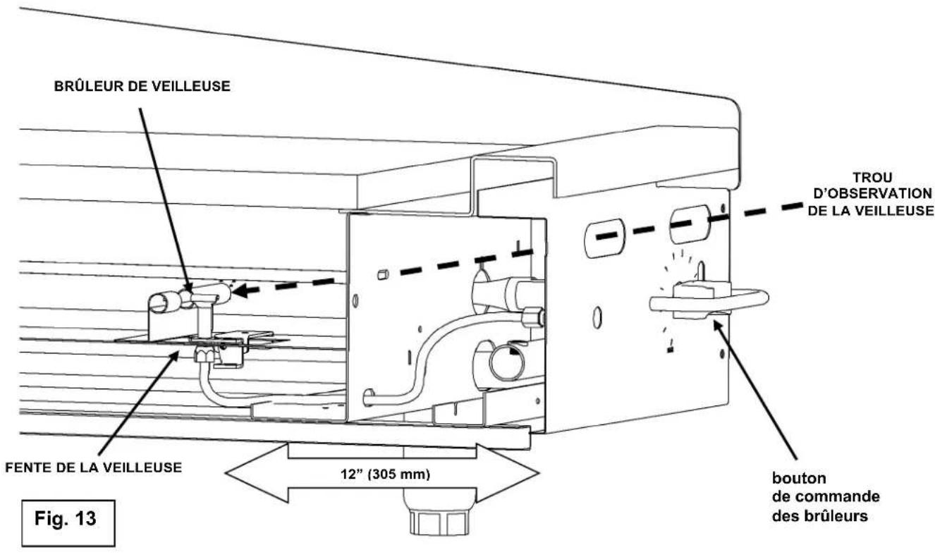 Vulcan MSA48 - PROCÉDURE D'ALLUMAGE DE LA VEILLEUSE – MODÈLES AGM ET VMG - 1