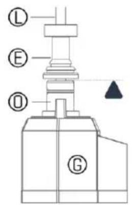 L E D G