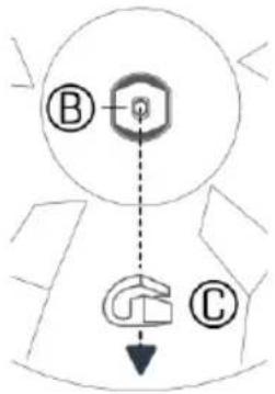 B C