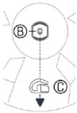 B C