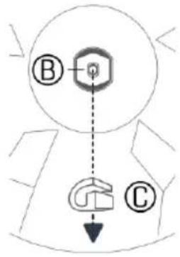 B C
