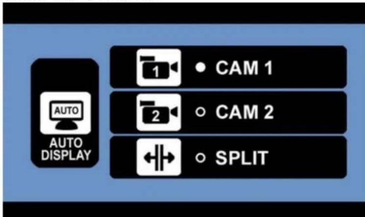 Pro-User DRC7010 - SETUP-AUTO DISPLAY - 1