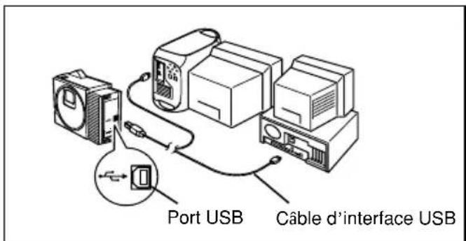 BROTHER P-Touch PT-2420PC - Raccordement du cable d'interface USB - 1