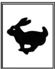 ALTRAD BELLE RTX 80 D - D-Throttle Decal (Part No.800-99628) - 1