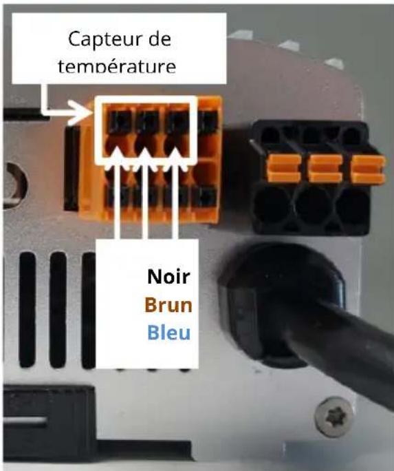 Capteur de température Noir Brun Bleu