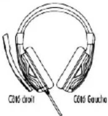 C610 droit C610 Goucho