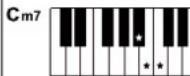 ROLAND E-X10 - Note : - 9