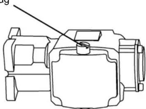 Simpson WS4050V-S - Adding the pump breather cap (if applicable) - 1