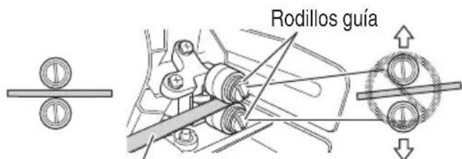 Rodillos guía
