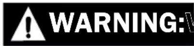 Simpson CM60976-S - INJECTION INJURY - 2