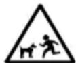 Simpson IS61028-S - Conditions de fonctionnement - 1