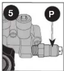 5 P