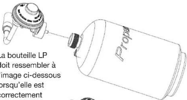 a bouteille LP loit ressembler à image ci-dessous orsqu'elle est correctement