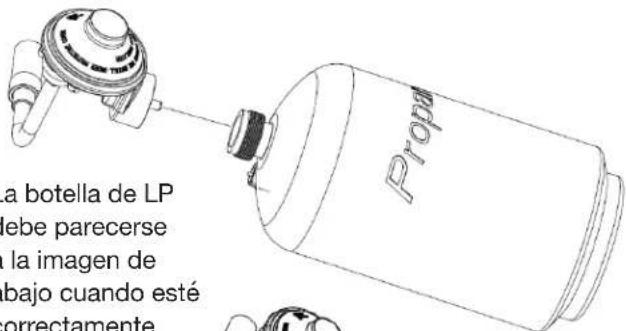 a botella de LP lebe parecerse la imagen de bajo cuando esté correctamente