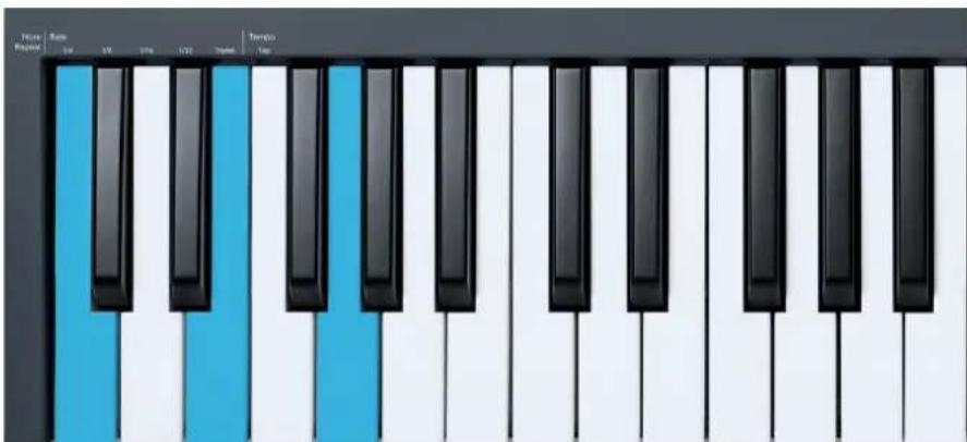 NOVATION FLkey 61 - Les touches d'octave - 1