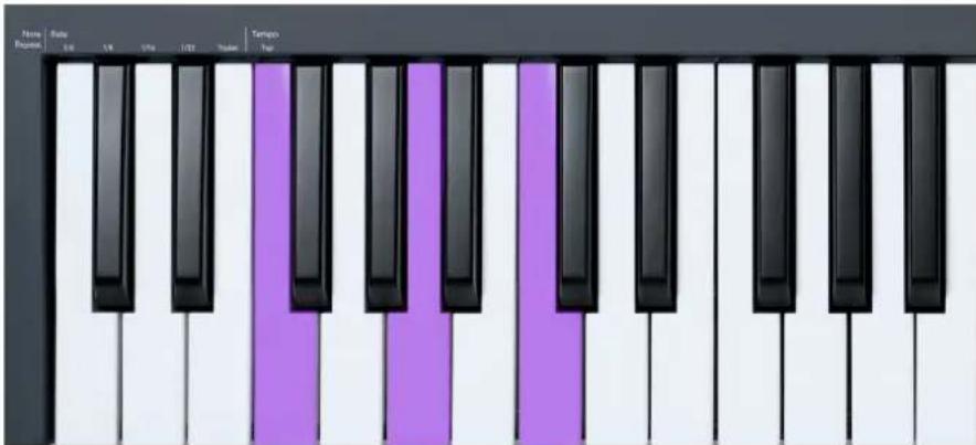 NOVATION FLkey 61 - Les touches d'octave - 2