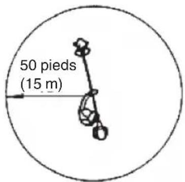 50 pieds (15 m)