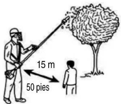 15 m 50 pies