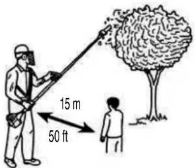 15 m 50 ft