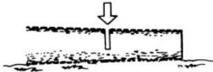 Tanaka ECV-5601 - A log lying on the ground - 1